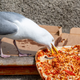 Seagull eating pizza off of sidewalk